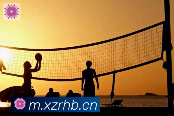 雅博app官网荣誉